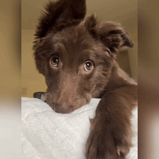 f1354a0769a3e1b1d22c58c949749eb2.gif