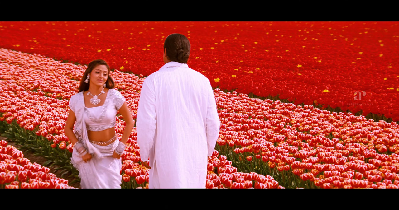 VideoCapture_20241122-195018