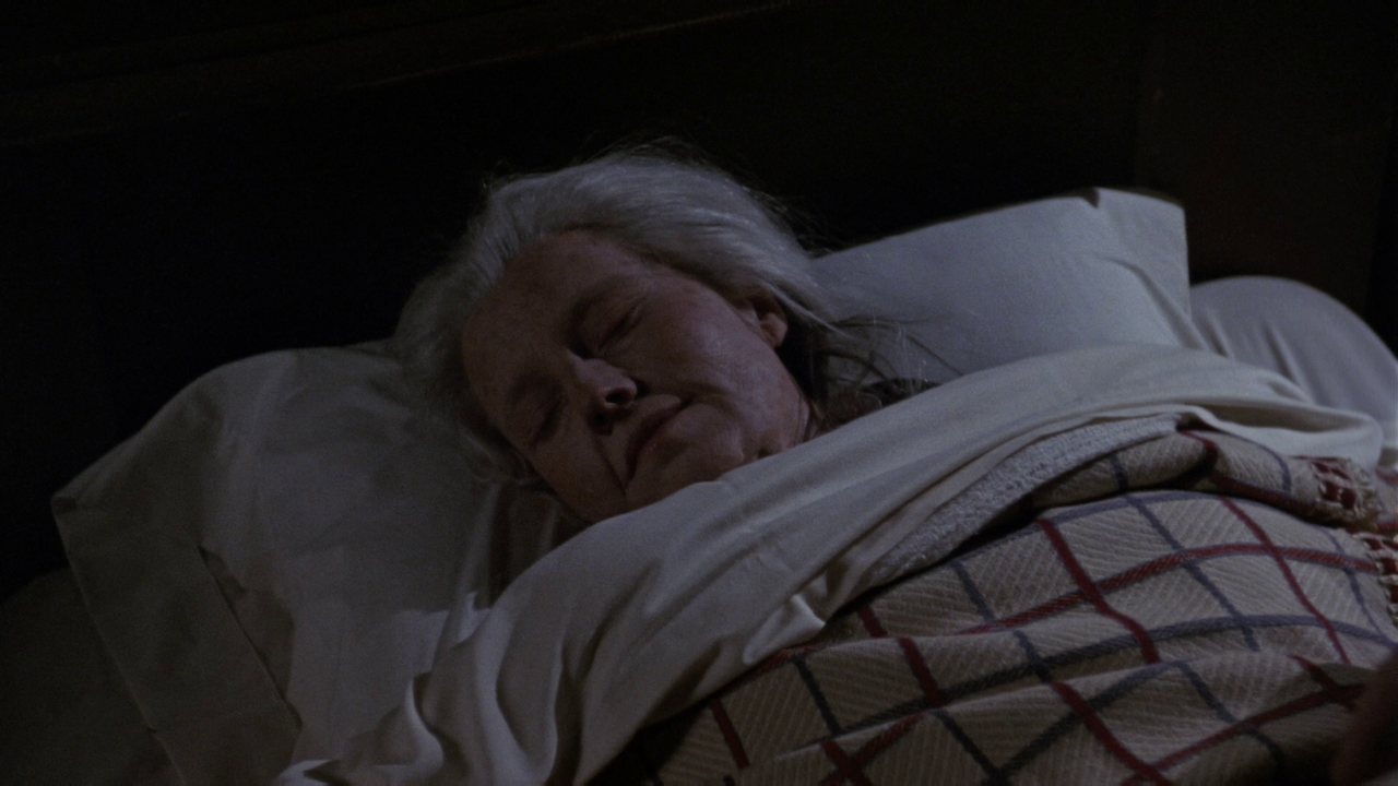 vlcsnap-2023-11-07-20h01m14s527