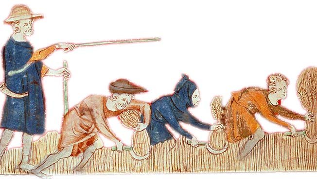 Serfs antériniens. Serfs antériniens.