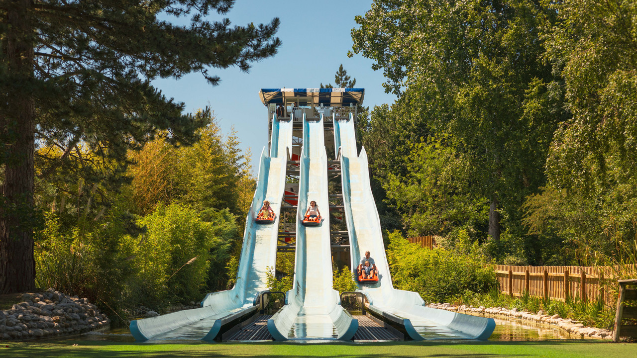 BAGATELLE 2025 Elisa Marq Photography 280