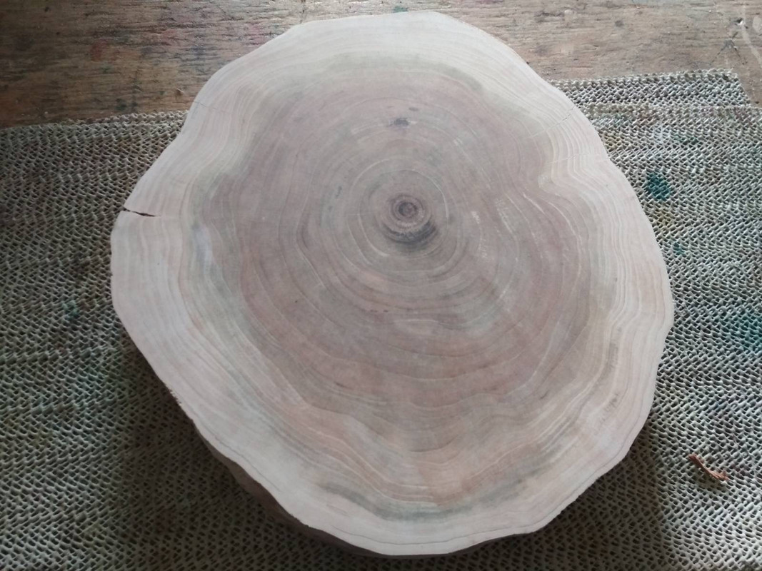 B9A7672B-516A-4DEB-A70E-9A9E225CF927