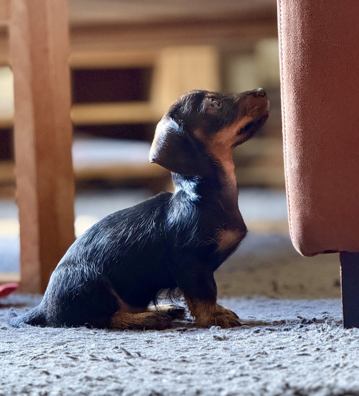 [Image: IMG-1554.jpg]