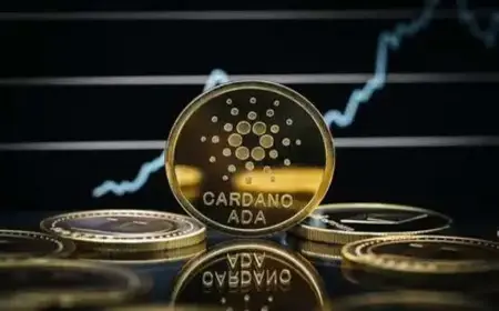 Cardano: Consecuencias y Ventajas como Commodity frente a Security