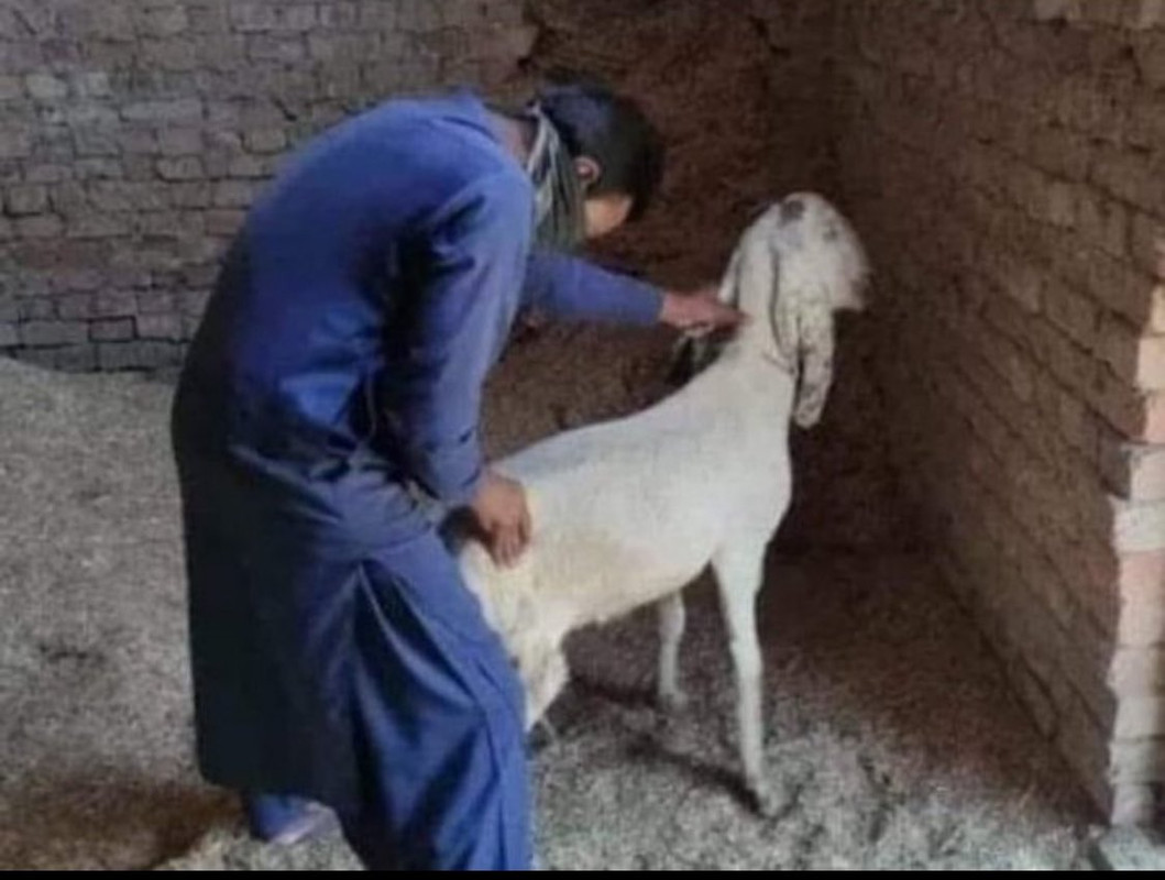 ۲۰۲۵۰۱۱۱_۱۰۱۱۱۰