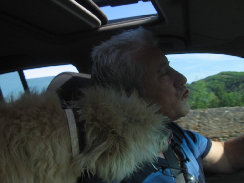 9077CCF9-885F-4086-83DA-5C2BE31485F7