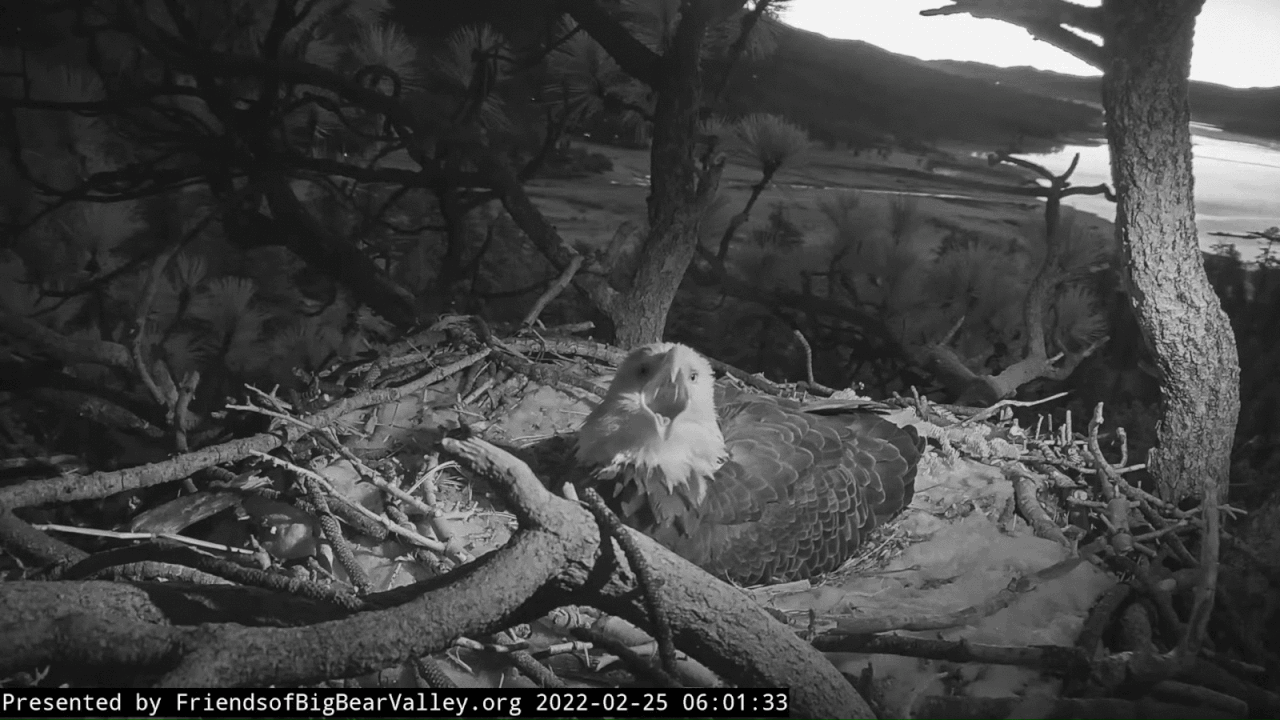 Webp.net-gifmaker (2)