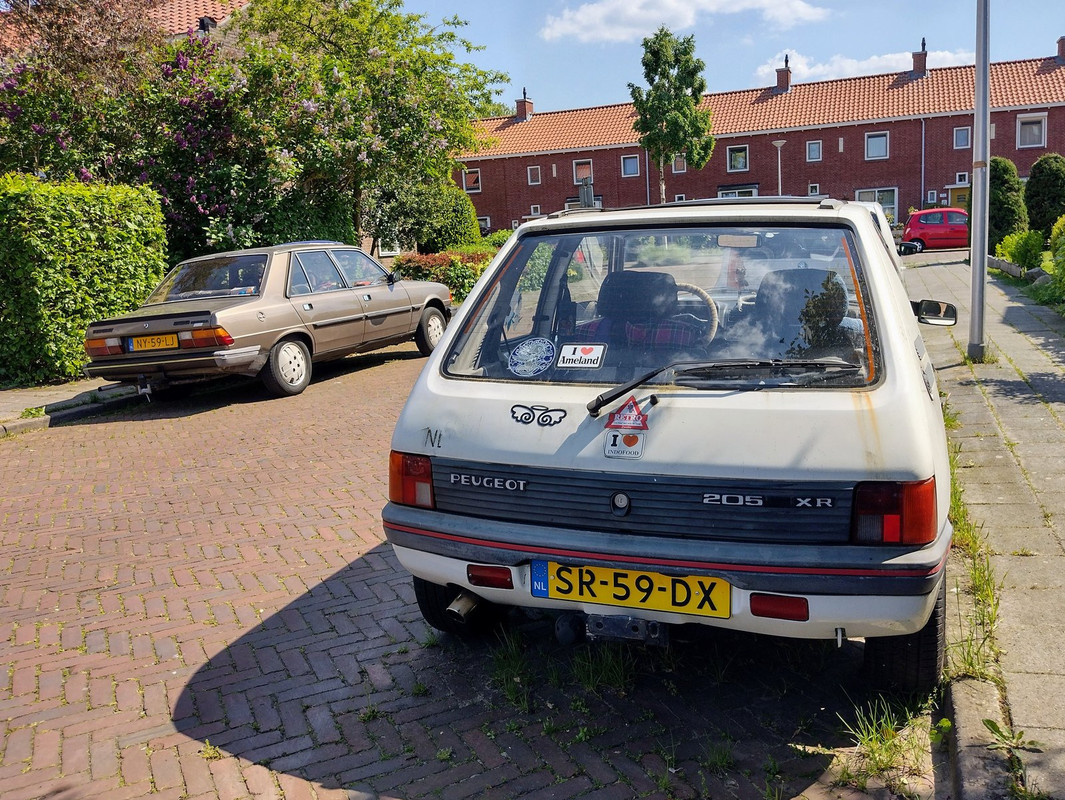 IMG-20230513-152134590-HDR-2.jpg