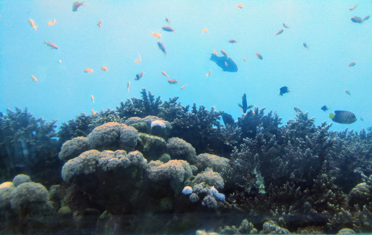 2FA69054-1EAF-4373-997C-80A8B7F54C78