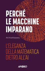 Anil Ananthaswamy – Perché le macchine imparano (2025)
