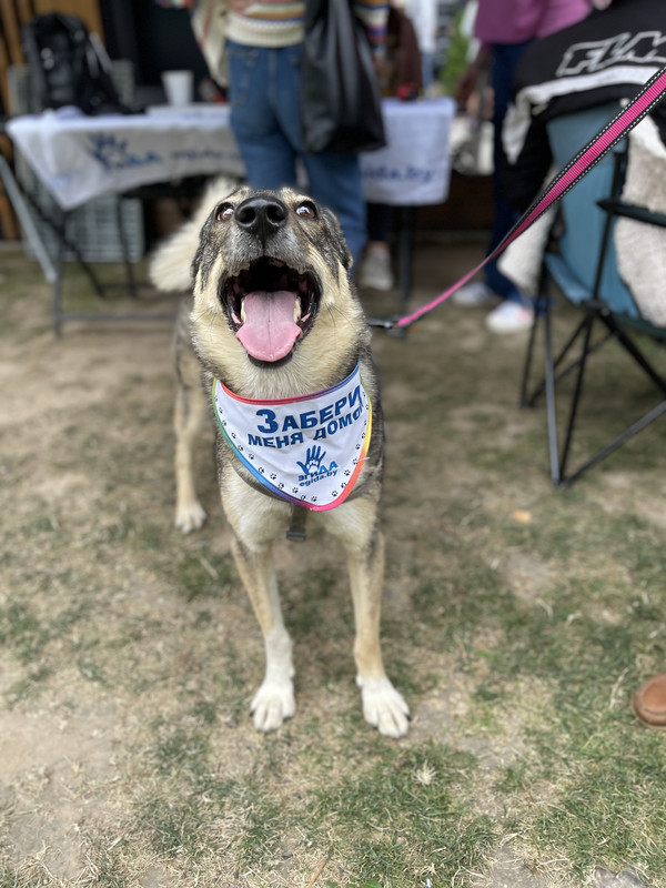 32995053-7219-4542-9A49-FA49DD5CEE7C