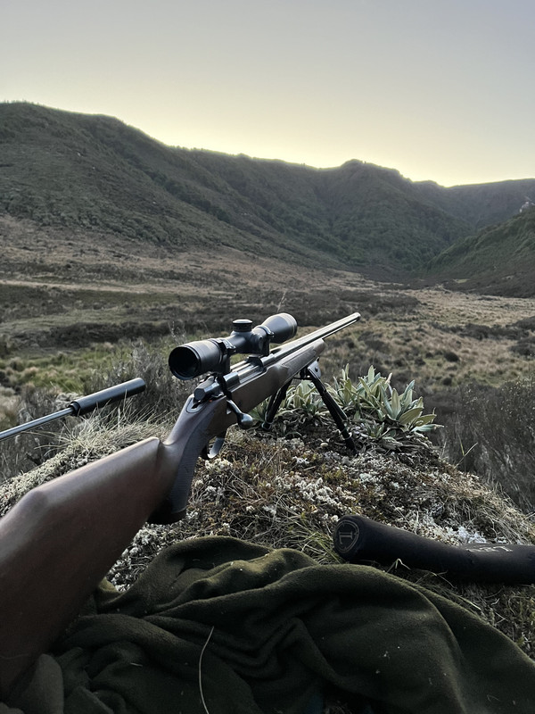 8853D897-6CD3-4B3B-9802-9BD0F106AB9D