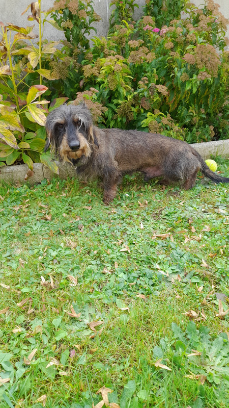 [Image: IMG-20240117-135220.jpg]