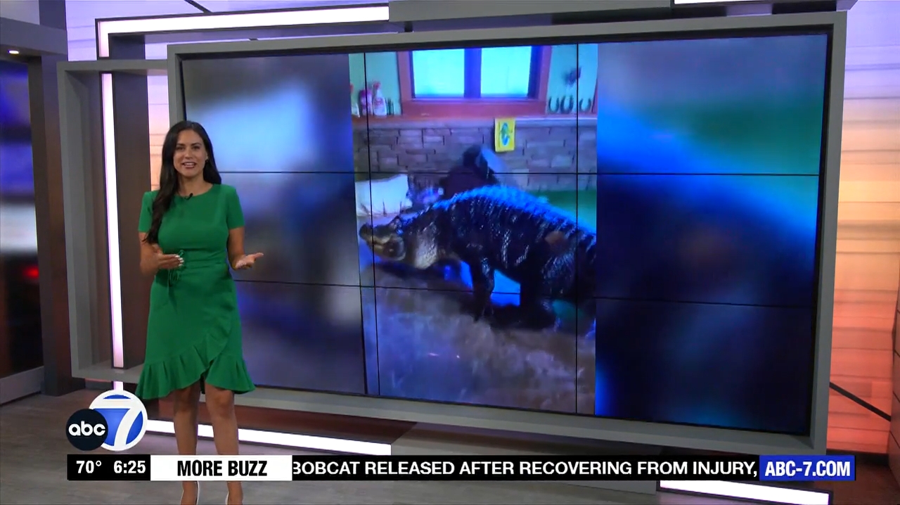 Abc7 More In The Morning Wkn 6Am Su 20240317 10001100-1.mp4_snapshot_21.37.566
