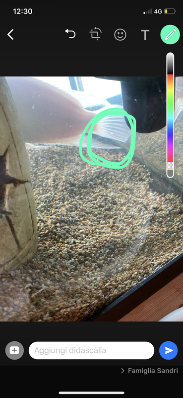 A959E017-776F-48B6-A095-E049D98E152D