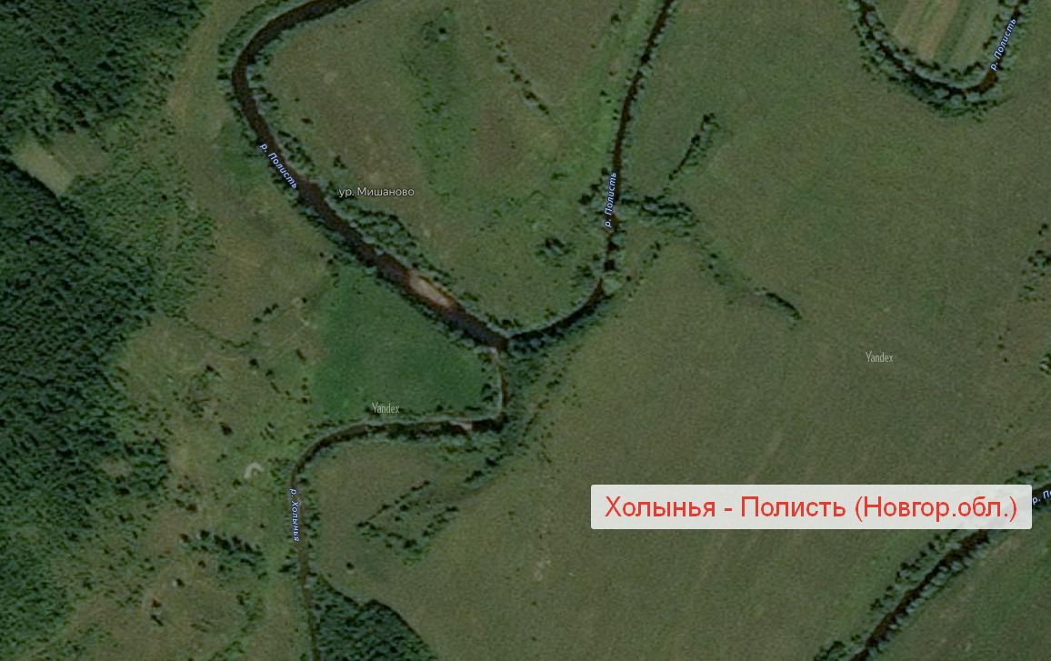 Речка Холынья, место впадения в Полисть. Напротив устья четко видна мель.
