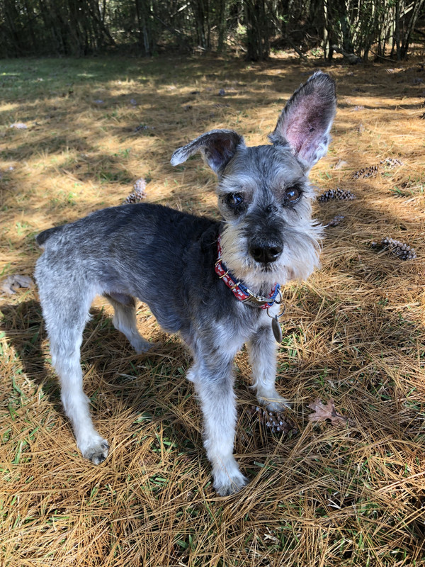 50C3F6DA-BD12-4094-A17C-9DB5F86F2EF3