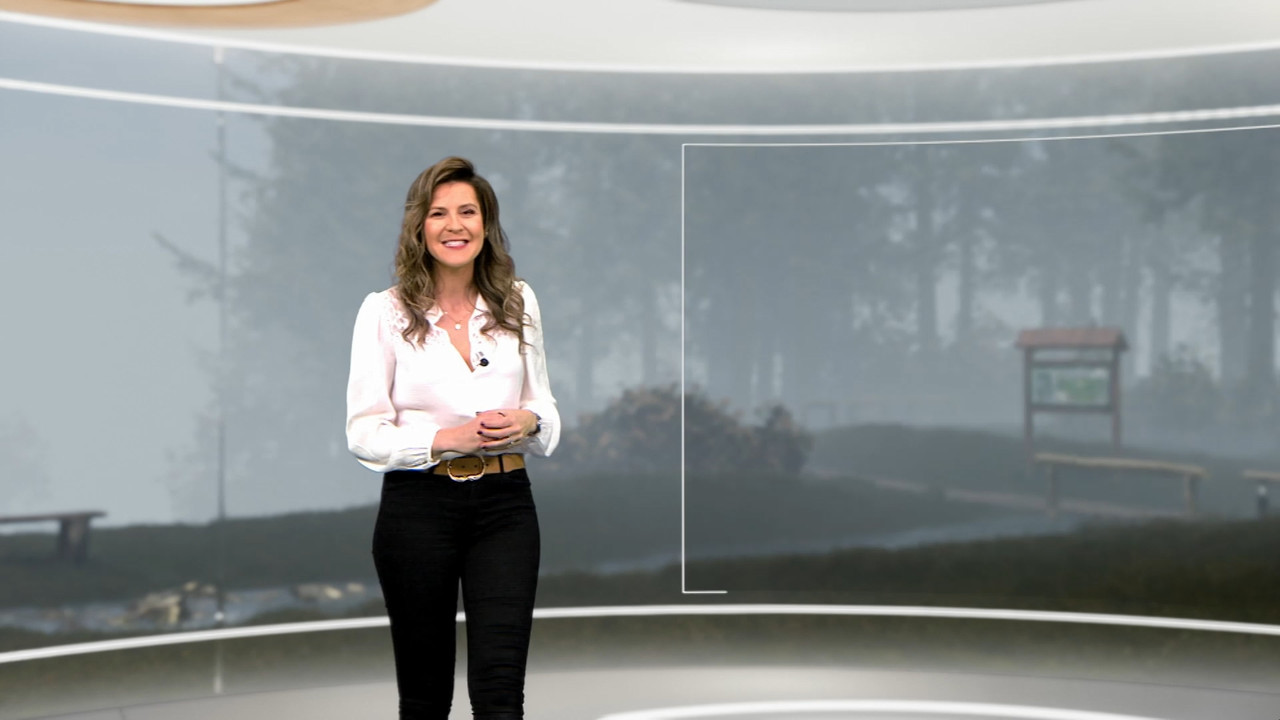 Météo 12h50 2022_11_30_11_50_00.ts_snapshot_14.48.759