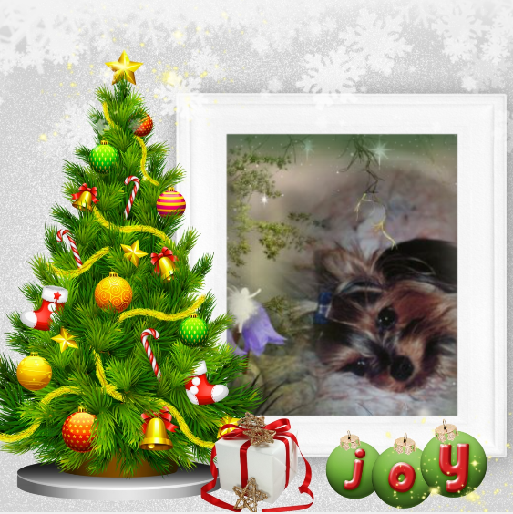 téléchargement 2020 11 25T143021 826 (2)