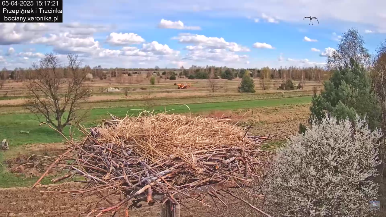 05042025paresekundwgniezdzie_0