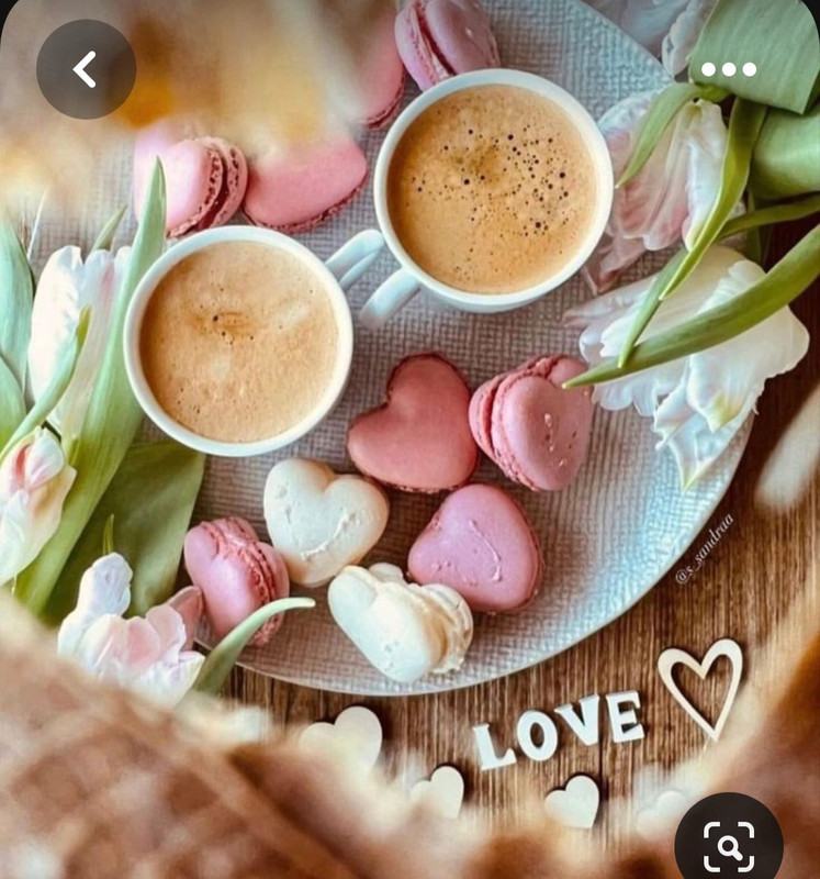 Screenshot_20230517_010448_Pinterest