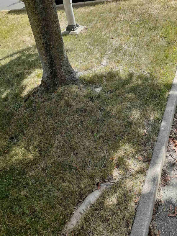 IMG-4d0f268af3591ccc73482a23cd42682e-V