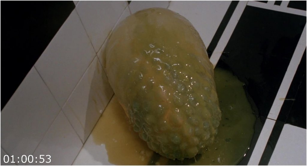 Contamination-1980-1080p-H264-Ac3-Ita-Eng-Sub-Eng-MIRCrew.jpg