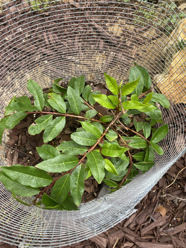 190B4E61-6DAC-41A3-A396-2F5BCF7FBAD6