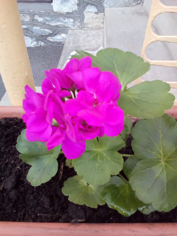 IMG_20210416_154154[1]