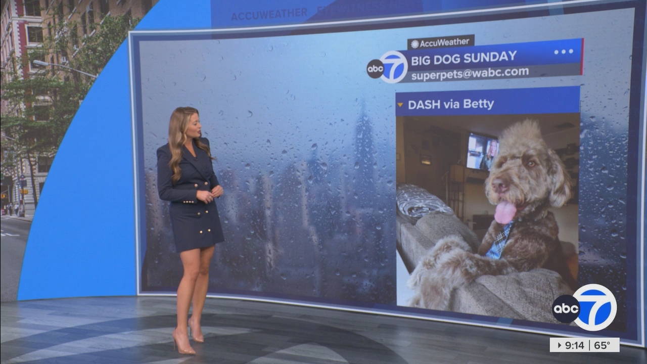Eyewitness News Sunday Morning_20250504_14001500.ts_snapshot_00.15.17.239