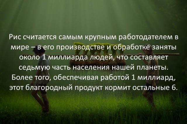 8631389.jpg