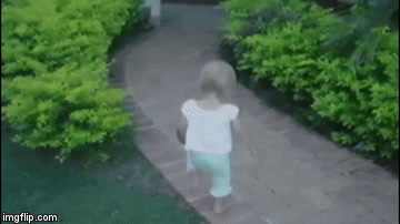 Cat-Baby-Attack.gif