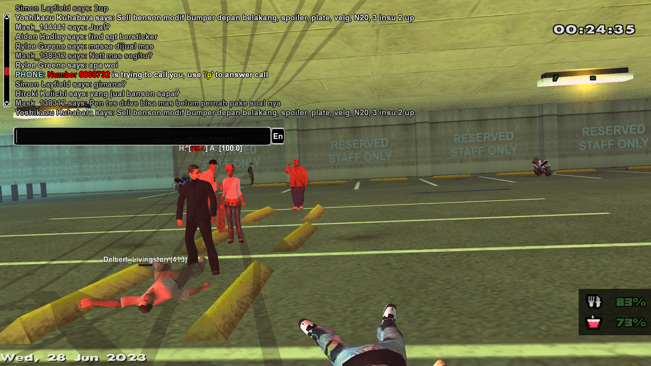 samp-28-06-2023-00-24-15.png