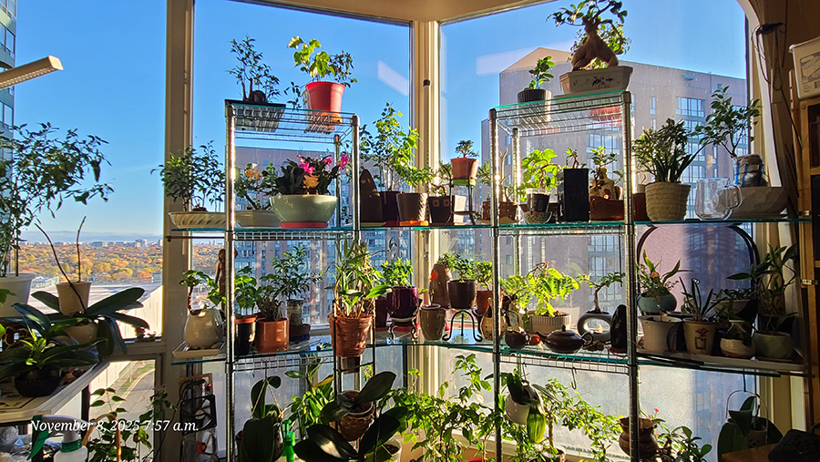 [Image: 20251108-075746.jpg]