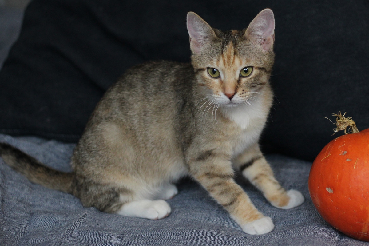 IMG_2354 — копия