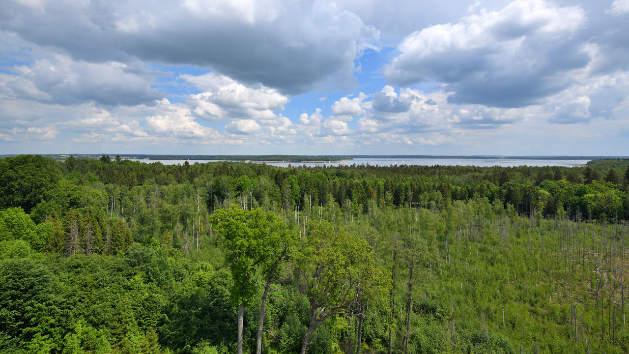 12.43 - 850_6462 HD (Konfiturek)