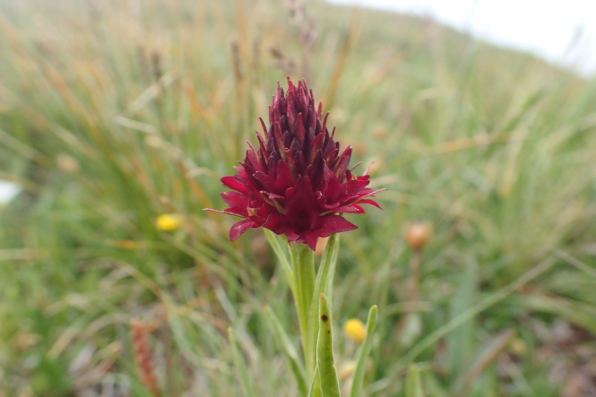 2019_0804BAŁKANY0827