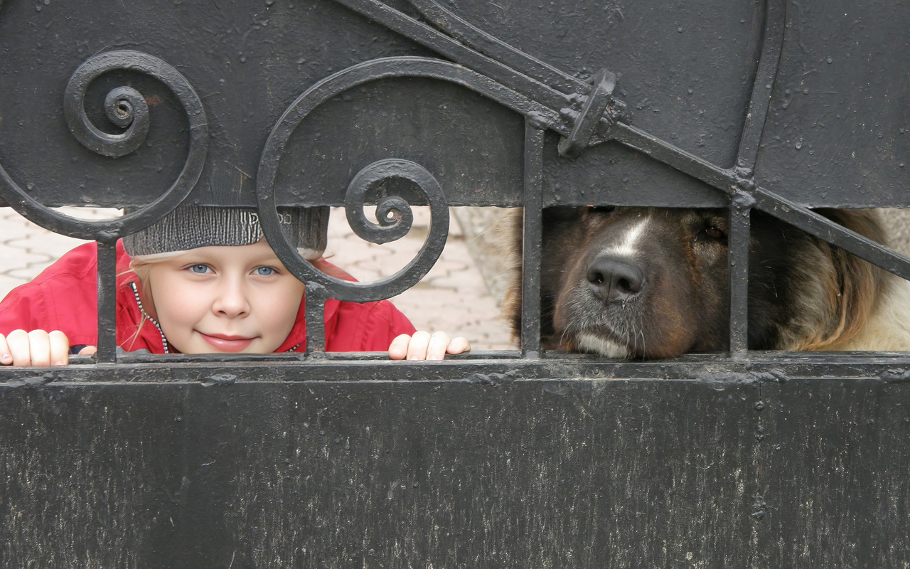 Мистецтво треба боронити від покидьків (Сергій Ляховський, "Букнет")
