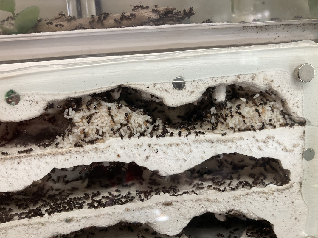 13D83D7B-1401-4A2C-B346-A6904C4550D5