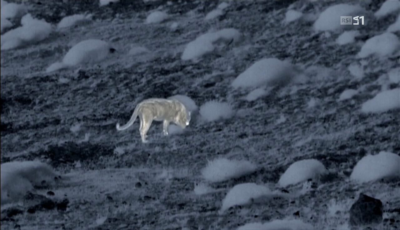 vlcsnap-2017-04-07-14h24m41s862