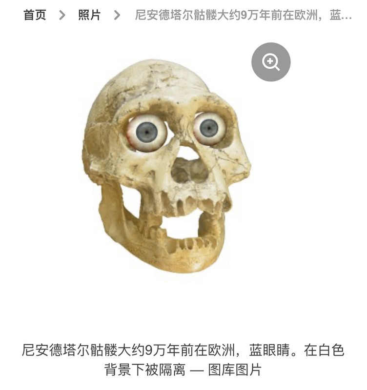 C71C373D-A50C-409D-95FE-6DB2FA34EAC3