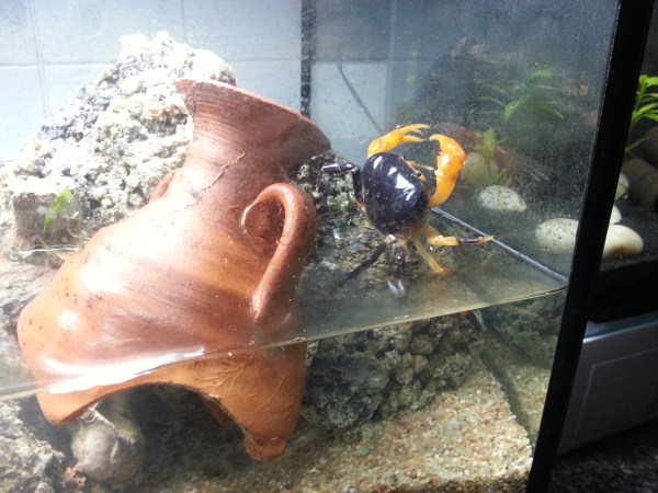 20131117_205213_Via Padre Eugenio Barsanti (600 