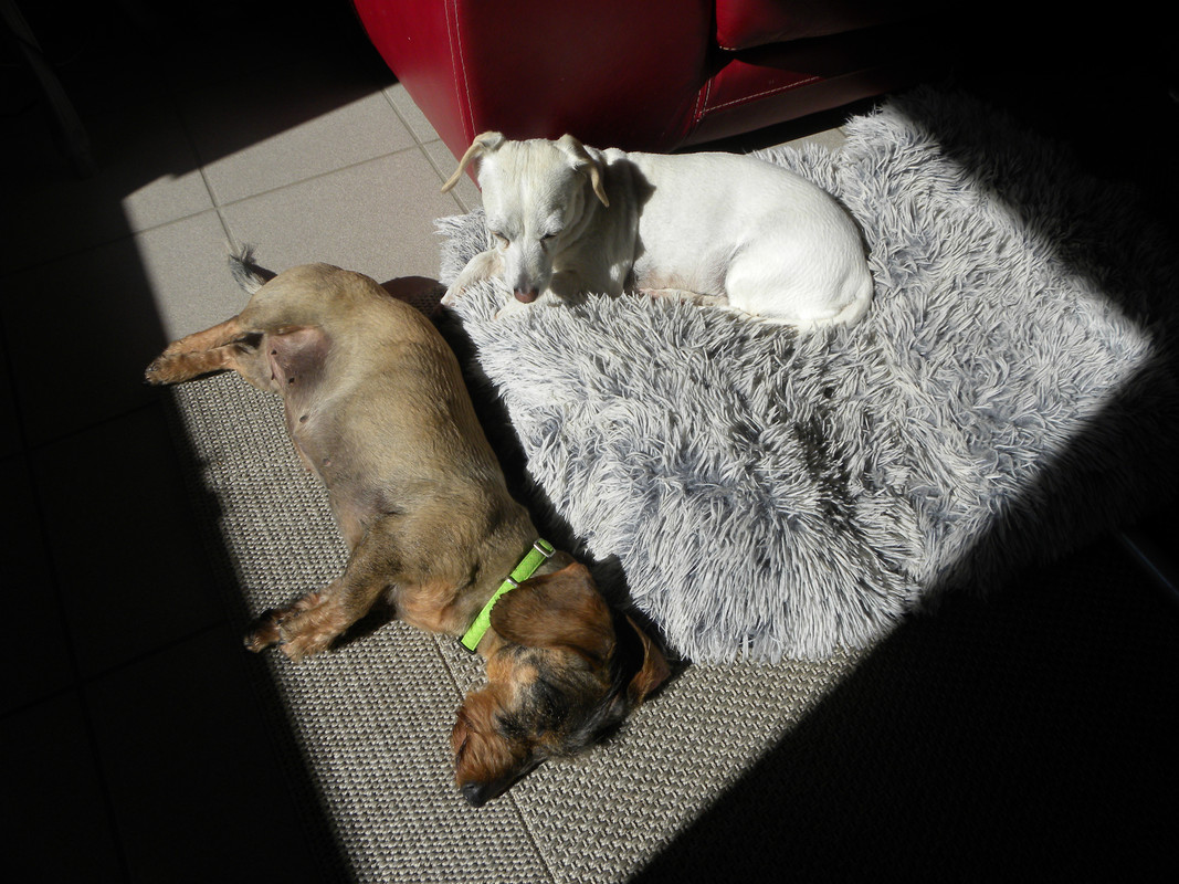 [Image: DSCN9751.jpg]