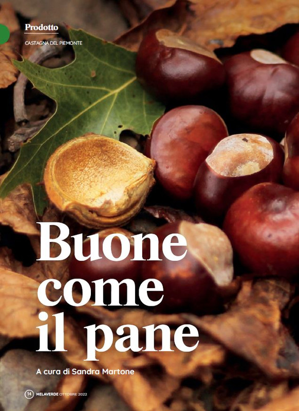 melaverde Ott 2022 (1)