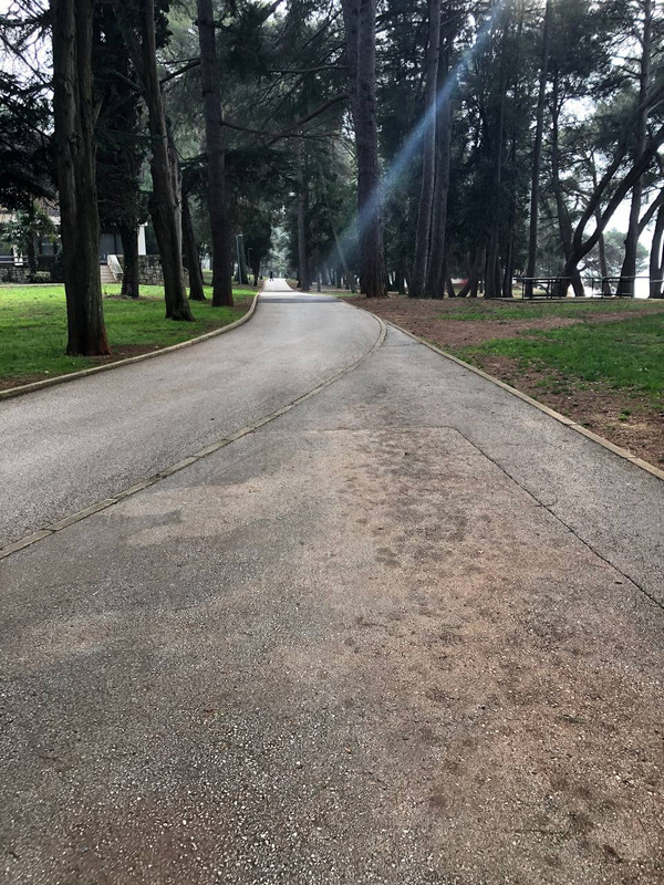 photo_2025-01-31_21-03-31