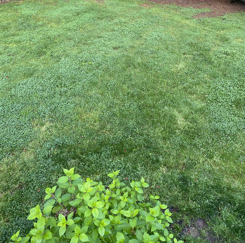 56789376-F4ED-4ADD-934D-83A2DCFF22D9