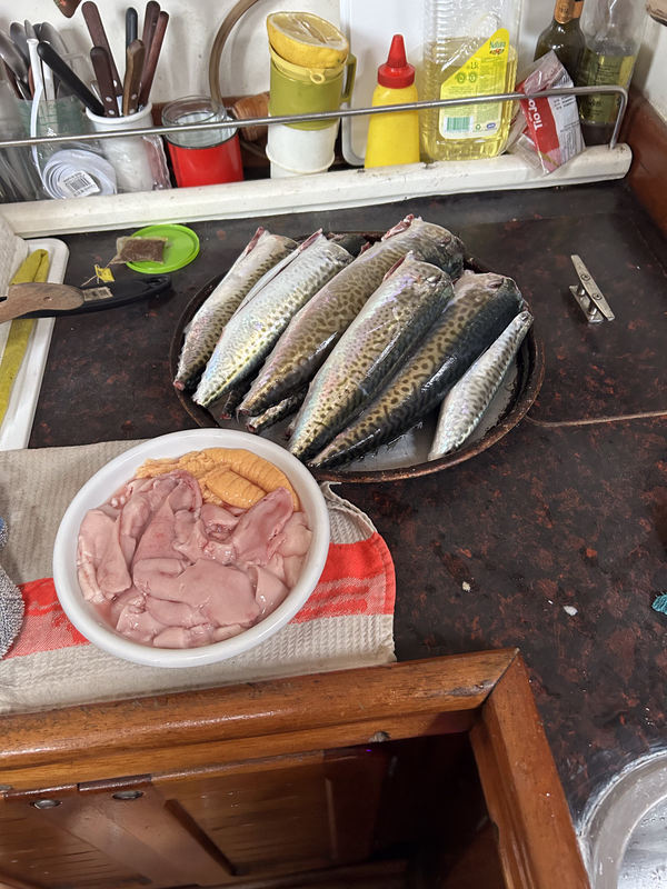 [Imagen: IMG_3506_HEIC.avif]