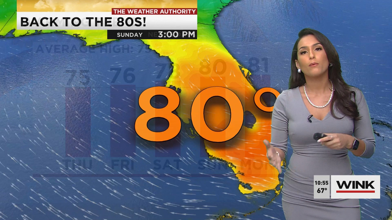 01.21 - 15.00.00 - WINK News at 10 00AM..ts_snapshot_01.01.28.830