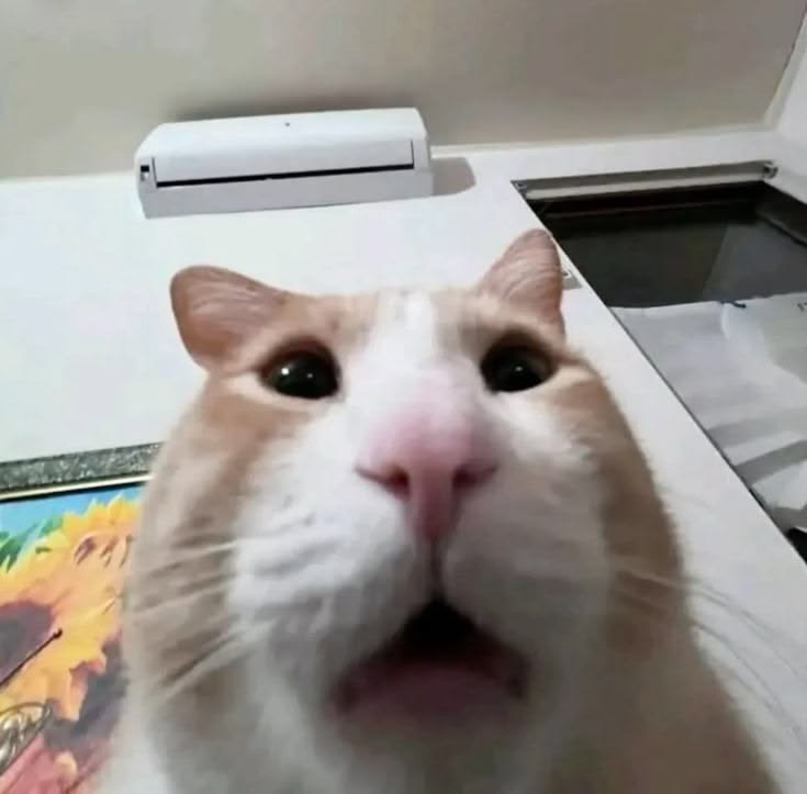 Bourbon Avatar