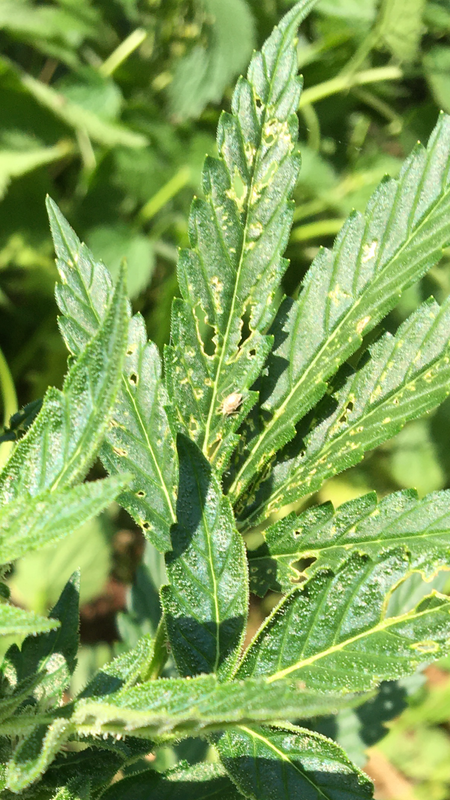 B6FD703A-F637-4465-AC20-E3F254907A77